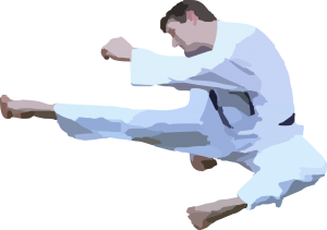karate-42412