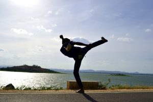 side-kick-198179_1280