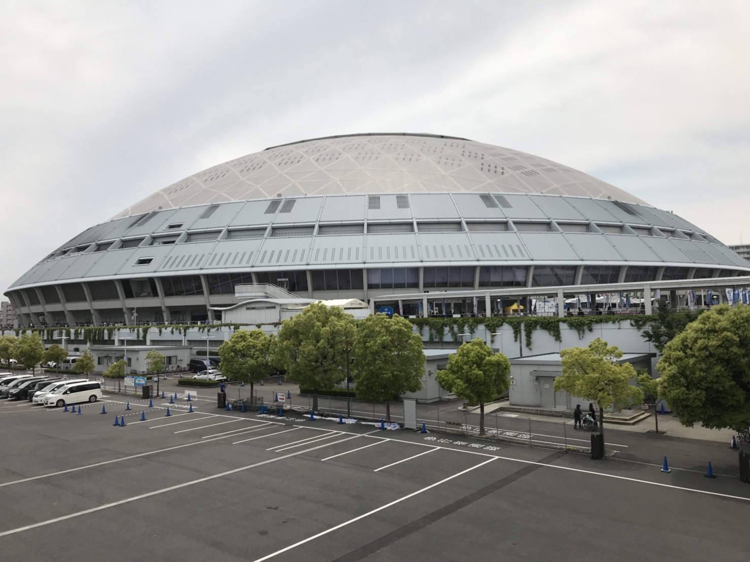 ナゴヤドームのグルメで人気ベスト７をカープ女子が徹底解説 Another Info