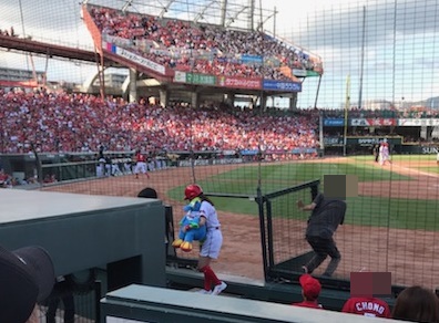 カープのホームランガールの給料や選考基準を元職員が徹底解説 Another Info